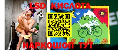 шишки Краснознаменск