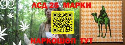 шишки Краснознаменск