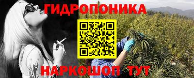 шишки Краснознаменск