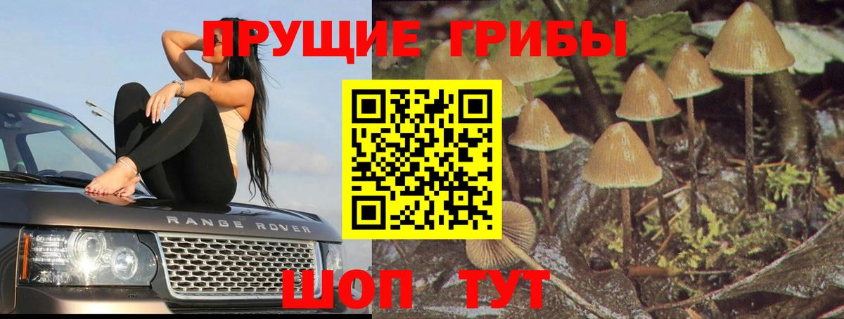 Долгопрудный  Псилоцибиновые грибы Magic Shrooms  Вход с VPN 